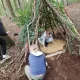 survival