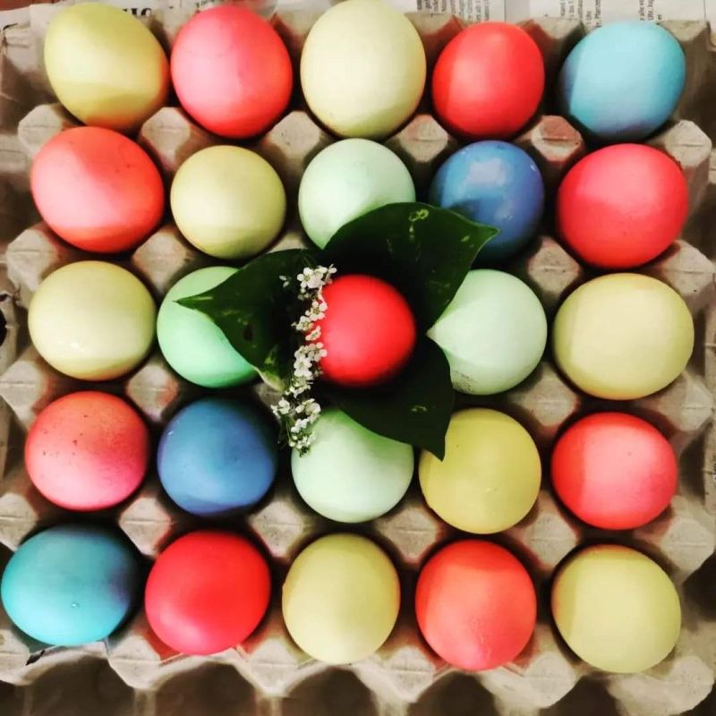 FB IMG 1680992066058