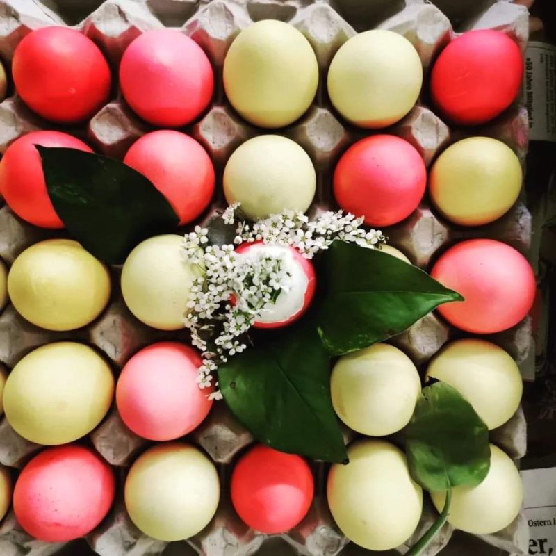 FB IMG 1680992061705